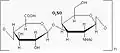 Chondroitin-4-sulfát