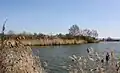Rybník Slatinka