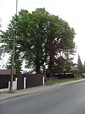 Pohled z dálky