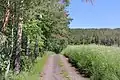 Cesta ke vsi