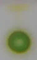Krok 2