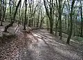Chuchelský háj