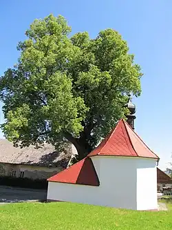 Kaple Panny Marie a památná lípa