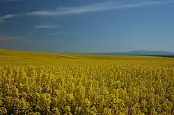 Unínská pahorkatina