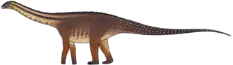 alternativní popis obrázku chybí
