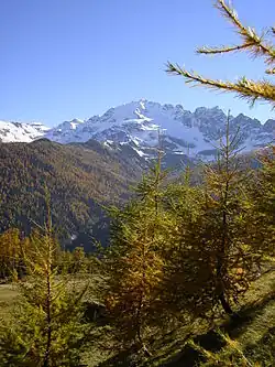 Cima Piazzi