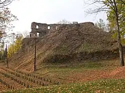 Cimburk.jpg