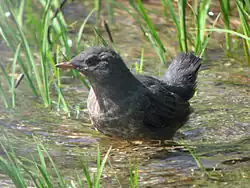 alternativní popis obrázku chybí