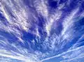 Cirrus fibratus radiatus
