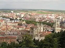 Pohled na město z hradu. Vpředu kostel sv. Štěpána, za ním katedrála.