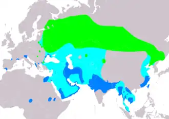 Mapa rozšíření orla volavého (světle zeleně – hnízdiště, světle modře – migrace, modře – zimoviště)