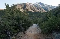 Miller Peak