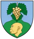 Vértesszőlős – znak