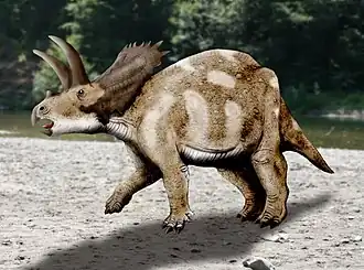 alternativní popis obrázku chybí