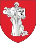 Žodzina – znak