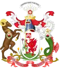 Cardiff – znak