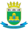 Chmelnycký rajón – znak