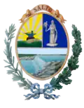 Salto – znak