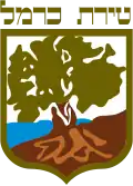 Tirat Karmel – znak