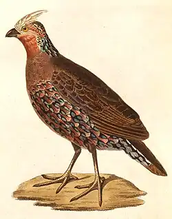 1838