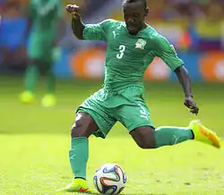 Arthur Boka (2014)