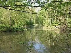 Ústí příkopu
