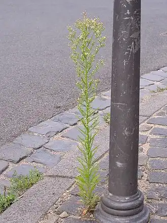 alternativní popis obrázku chybí