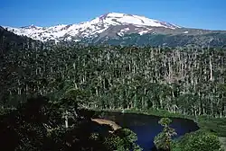 Pohled na sopku Copahue