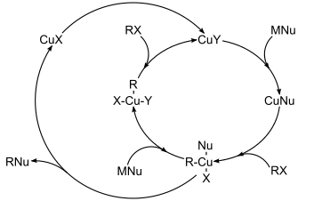 Navržený mechanismus křížového párování katalyzovaného mědí