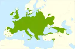 Areál rozšíření