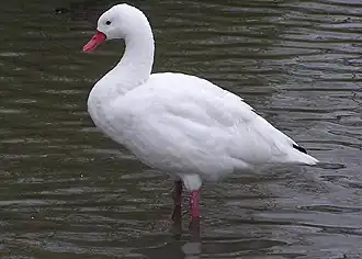 alternativní popis obrázku chybí
