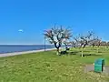 Pobřeží estuáru v Martínezu