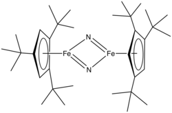 Cyklopentadienylové ligandy u (tBu3C5H2)2Fe2N2