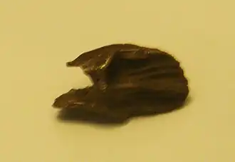 alternativní popis obrázku chybí
