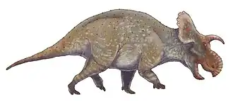 alternativní popis obrázku chybí