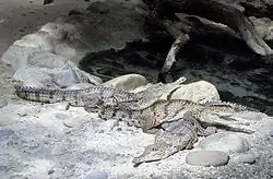 alternativní popis obrázku chybí