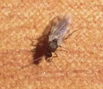 alternativní popis obrázku chybí