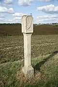 Cultural monument brake stone in Petrovice, Humpolec, Pelhřimov District.jpg