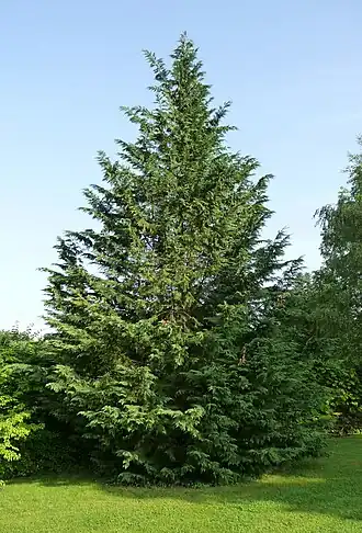 alternativní popis obrázku chybí