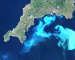E. huxleyi v Lamanšském průlivu (Landsat, 1999).