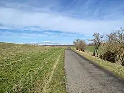 Holasovice