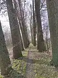 Pustý Mlýn, Brumovice