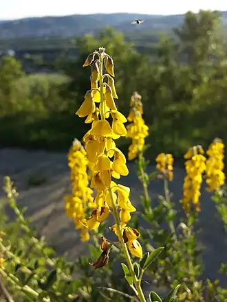 alternativní popis obrázku chybí