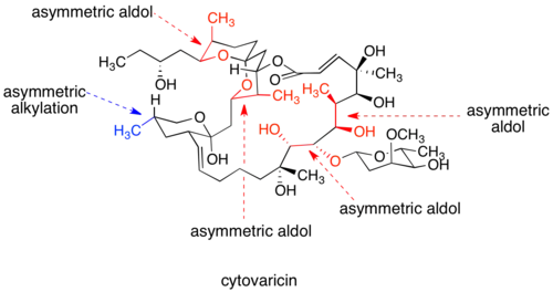 Cytovaricin, syntetizovaný D. A. Evansem v 1990; Modře a červeně znázorněné vazby odpovídají stereocenrům, jejichž konfigurace byla nastavena s využitím chirálních pomocníků.