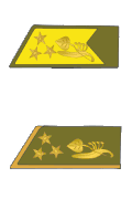 Plukovník – Vládní Vojsko ČSR – 1939–1945