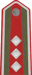 Podplukovník - Čs. Četnictvo - 1921-1930