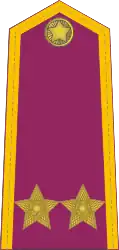 Podplukovník - Vězeňská služba - 1974 - 1992