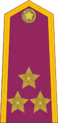 Plukovník – Vězeňská služba – 1974–1992