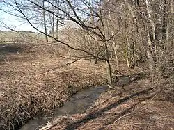 Potok pod Dědicemi