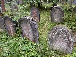 Dřevíkov-židovskýhřbitov2008d.jpg